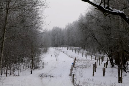 Döberitzer Heide round trail with snow 2021-02-14 76