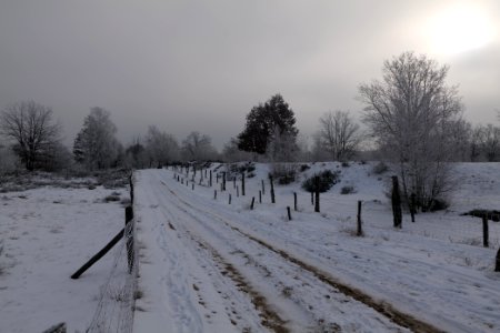 Döberitzer Heide round trail with snow 2021-02-14 88