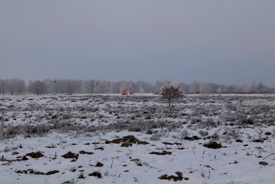 Döberitzer Heide with snow 2021-02-14 143