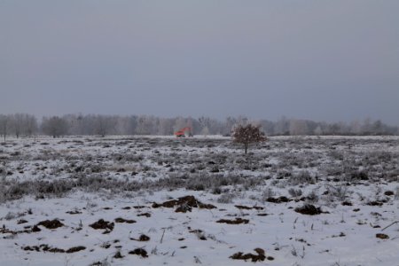 Döberitzer Heide with snow 2021-02-14 143