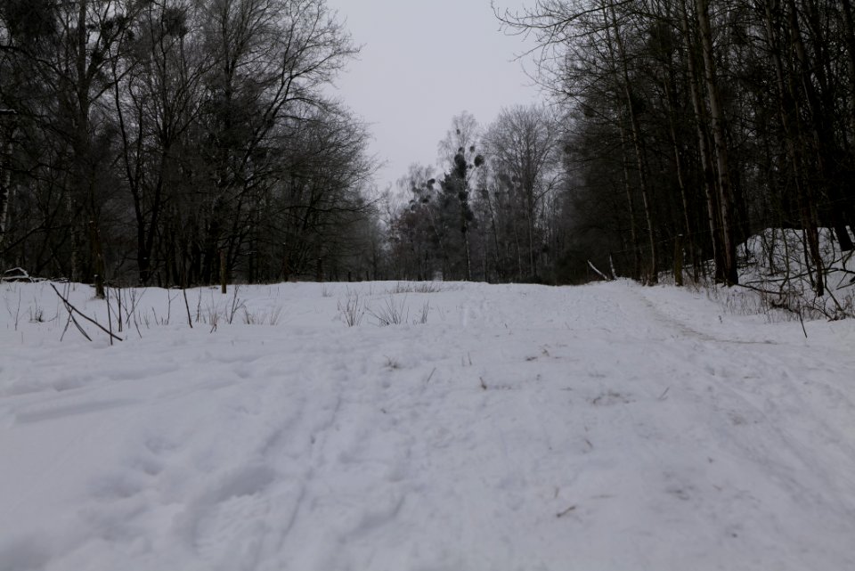 Döberitzer Heide round trail with snow 2021-02-14 23
