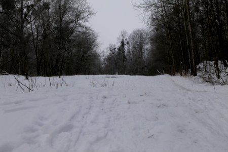 Döberitzer Heide round trail with snow 2021-02-14 23