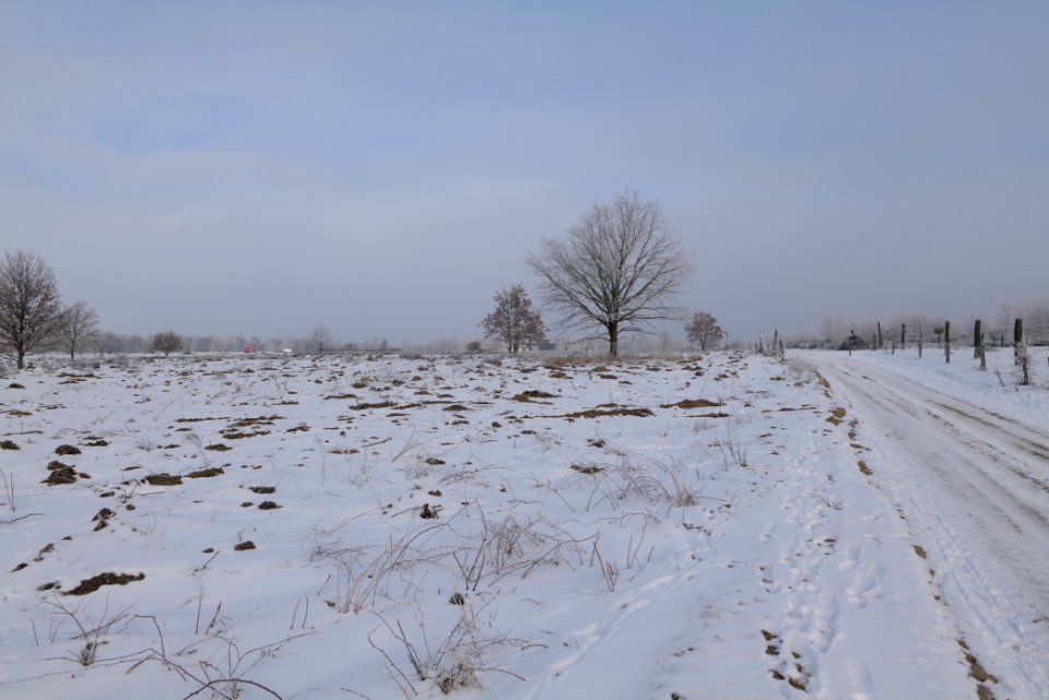 Döberitzer Heide with snow 2021-02-14 153