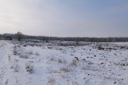 Döberitzer Heide with snow 2021-02-14 154
