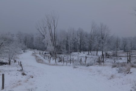 Döberitzer Heide round trail with snow 2021-02-14 58