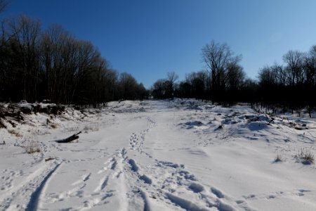 Döberitzer Heide with snow 2021-02-14 164