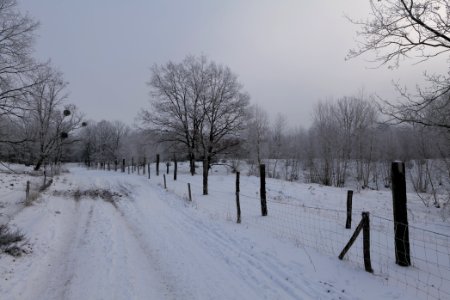 Döberitzer Heide round trail with snow 2021-02-14 82