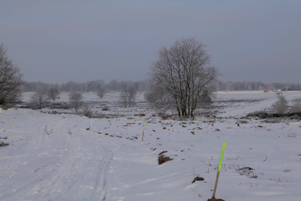 Döberitzer Heide with snow 2021-02-14 160