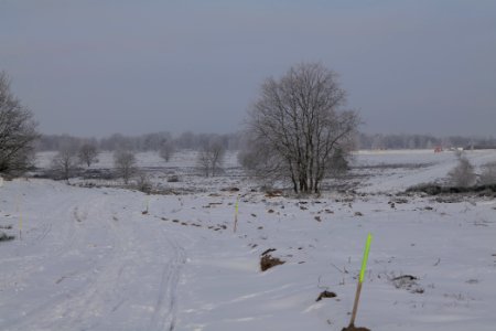 Döberitzer Heide with snow 2021-02-14 160