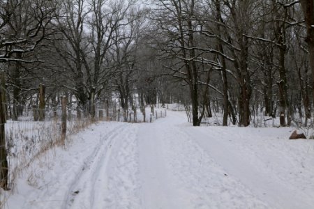 Döberitzer Heide round trail with snow 2021-02-14 77