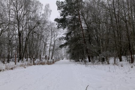 Döberitzer Heide round trail with snow 2021-02-14 27
