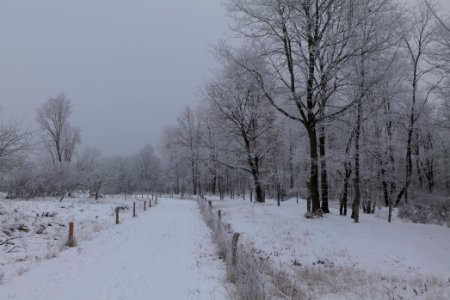 Döberitzer Heide round trail with snow 2021-02-14 44