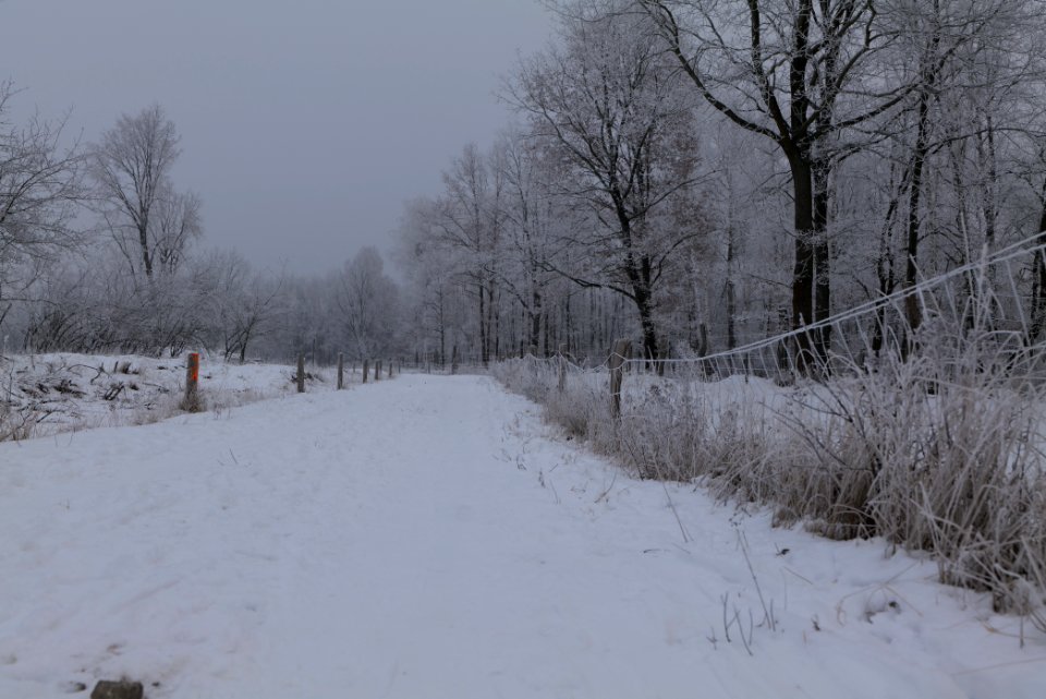 Döberitzer Heide round trail with snow 2021-02-14 46
