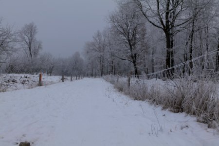 Döberitzer Heide round trail with snow 2021-02-14 46
