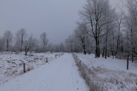 Döberitzer Heide round trail with snow 2021-02-14 41