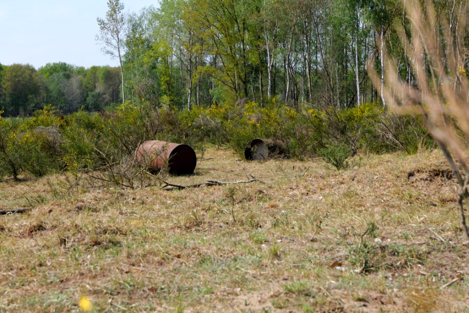 Döberitzer Heide open landscape 2020-05-08 152