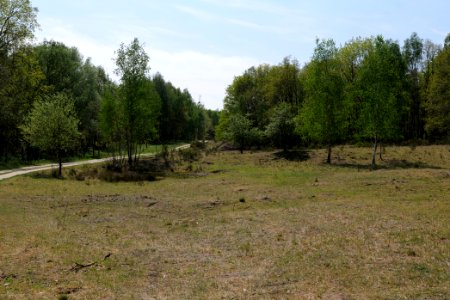 Döberitzer Heide open landscape 2020-05-08 156