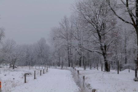 Döberitzer Heide round trail with snow 2021-02-14 42
