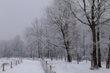 Döberitzer Heide round trail with snow 2021-02-14 43