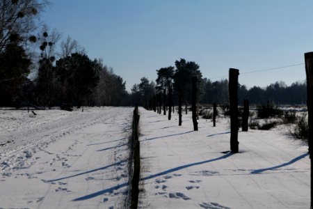 Döberitzer Heide round trail with snow 2021-02-14 143