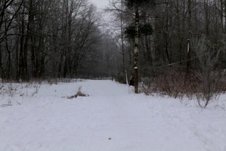 Döberitzer Heide round trail with snow 2021-02-14 16