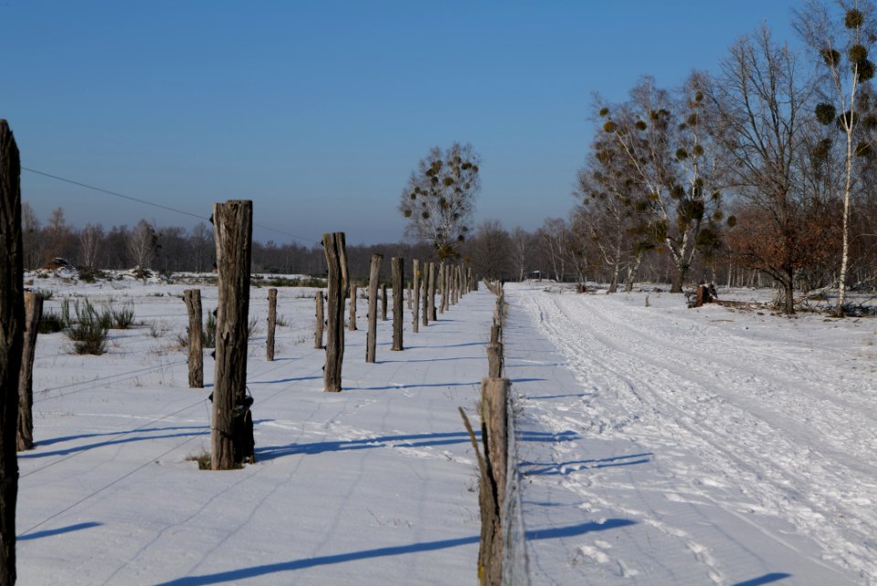 Döberitzer Heide round trail with snow 2021-02-14 141