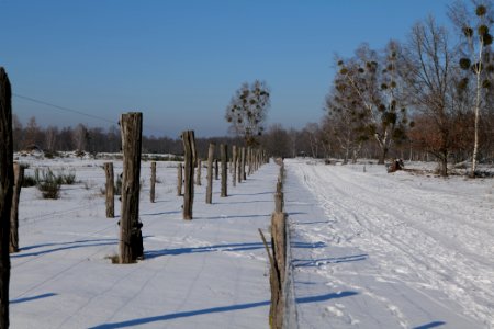 Döberitzer Heide round trail with snow 2021-02-14 141