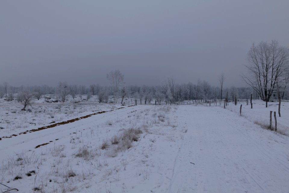 Döberitzer Heide round trail with snow 2021-02-14 59