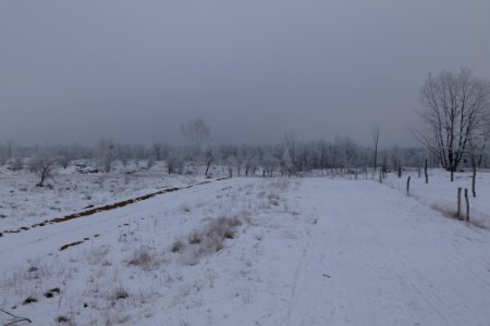 Döberitzer Heide round trail with snow 2021-02-14 59