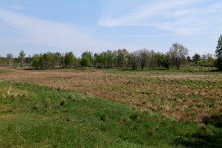 Döberitzer Heide open landscape 2020-05-08 83