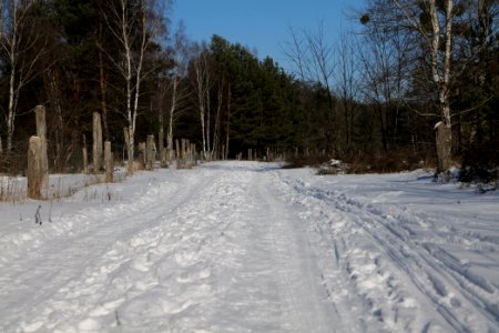 Döberitzer Heide round trail with snow 2021-02-14 136
