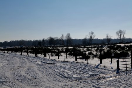 Döberitzer Heide round trail with snow 2021-02-14 145