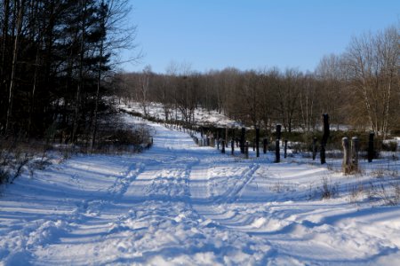 Döberitzer Heide round trail with snow 2021-02-14 130