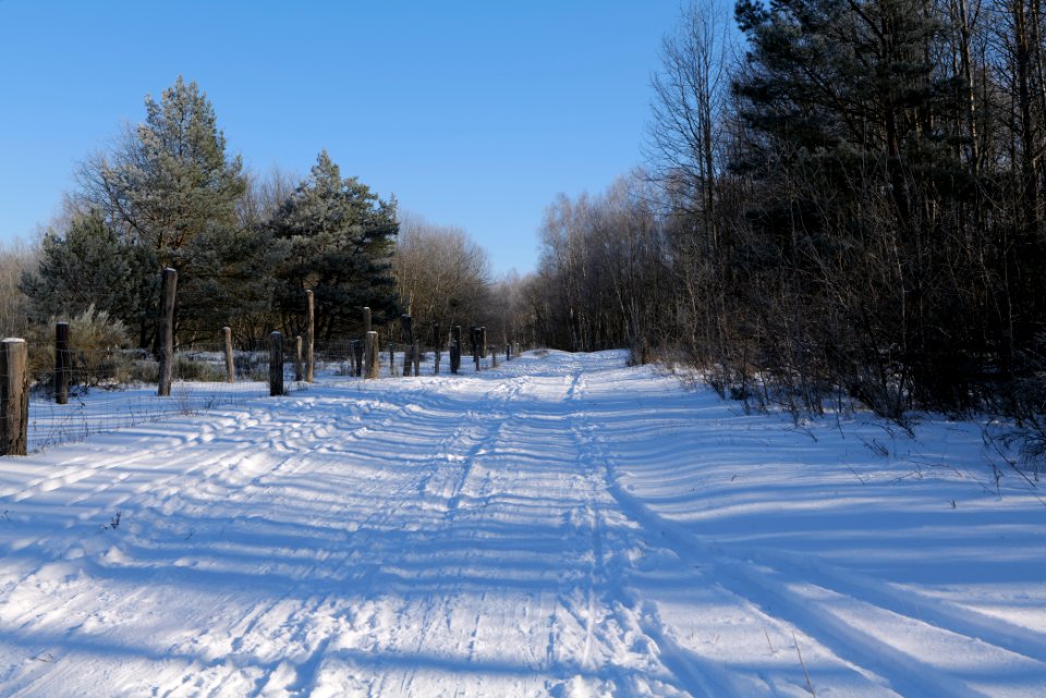 Döberitzer Heide round trail with snow 2021-02-14 128