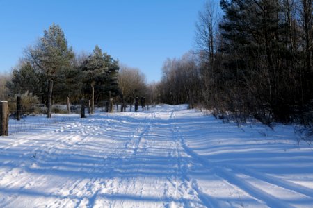 Döberitzer Heide round trail with snow 2021-02-14 128