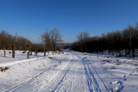 Döberitzer Heide round trail with snow 2021-02-14 125