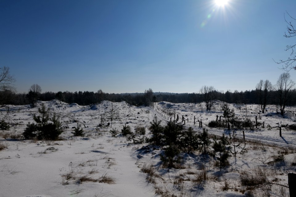 Döberitzer Heide round trail with snow 2021-02-14 121
