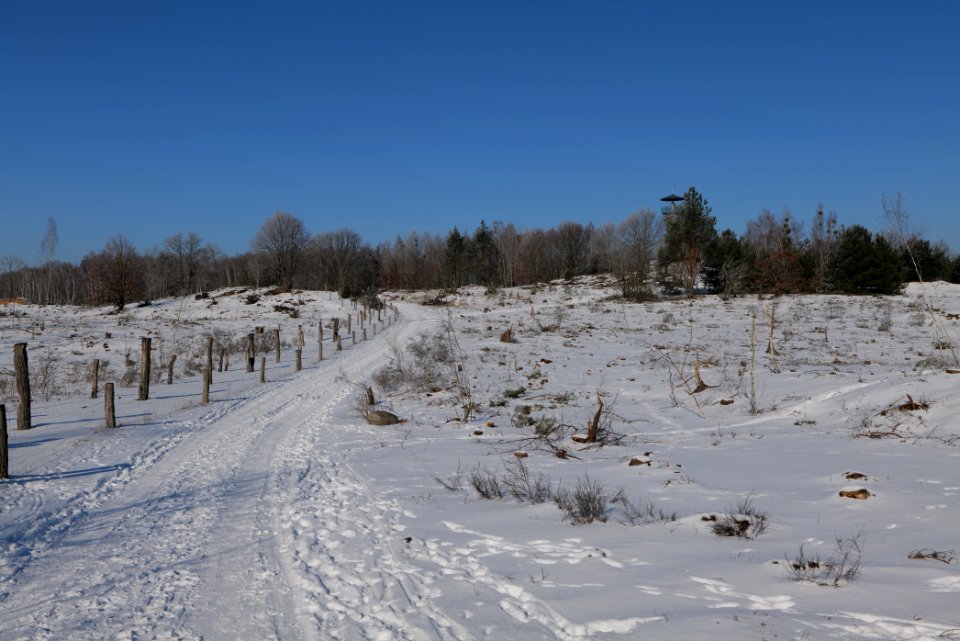 Döberitzer Heide round trail with snow 2021-02-14 119