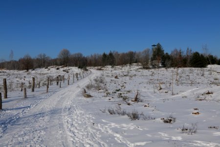 Döberitzer Heide round trail with snow 2021-02-14 119
