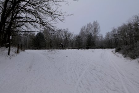Döberitzer Heide round trail with snow 2021-02-14 13