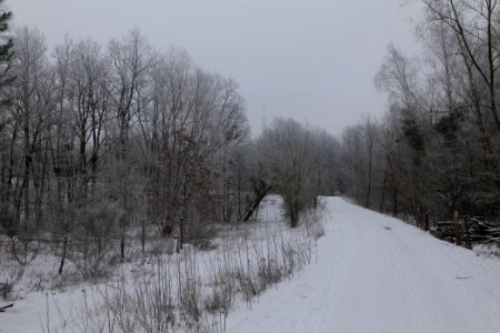 Döberitzer Heide round trail with snow 2021-02-14 04