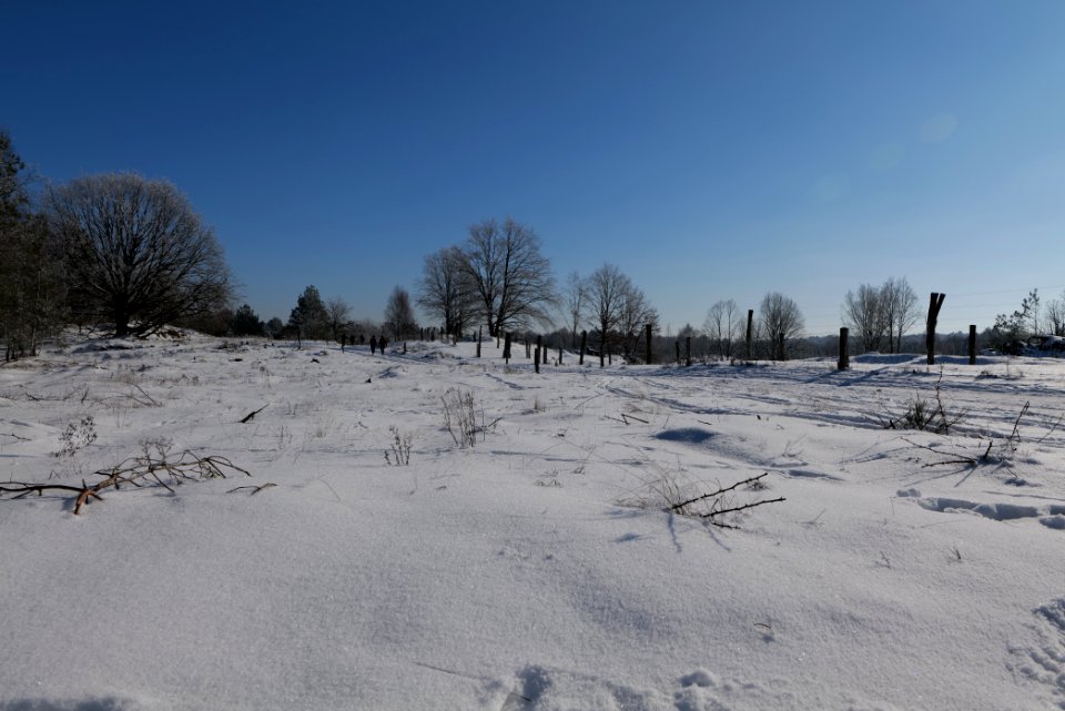 Döberitzer Heide round trail with snow 2021-02-14 124