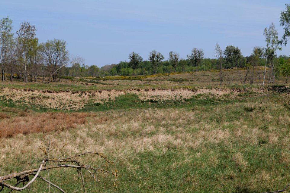 Döberitzer Heide open landscape 2020-05-08 50