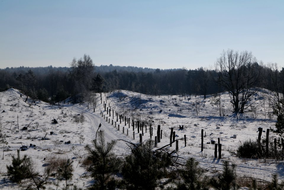 Döberitzer Heide round trail with snow 2021-02-14 120
