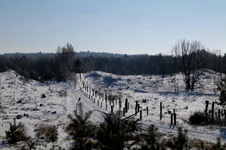 Döberitzer Heide round trail with snow 2021-02-14 120
