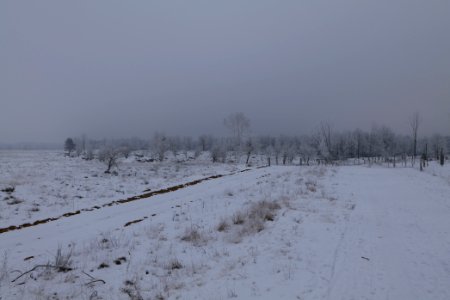 Döberitzer Heide round trail with snow 2021-02-14 60