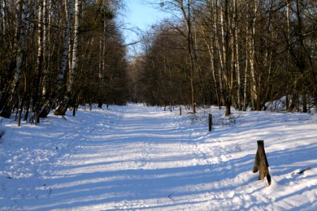 Döberitzer Heide round trail with snow 2021-02-14 149