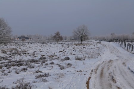 Döberitzer Heide round trail with snow 2021-02-14 104