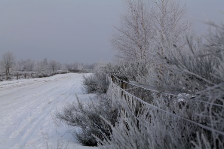 Döberitzer Heide round trail with snow 2021-02-14 100