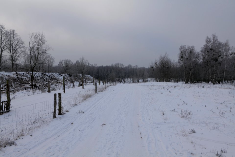 Döberitzer Heide round trail with snow 2021-02-14 66